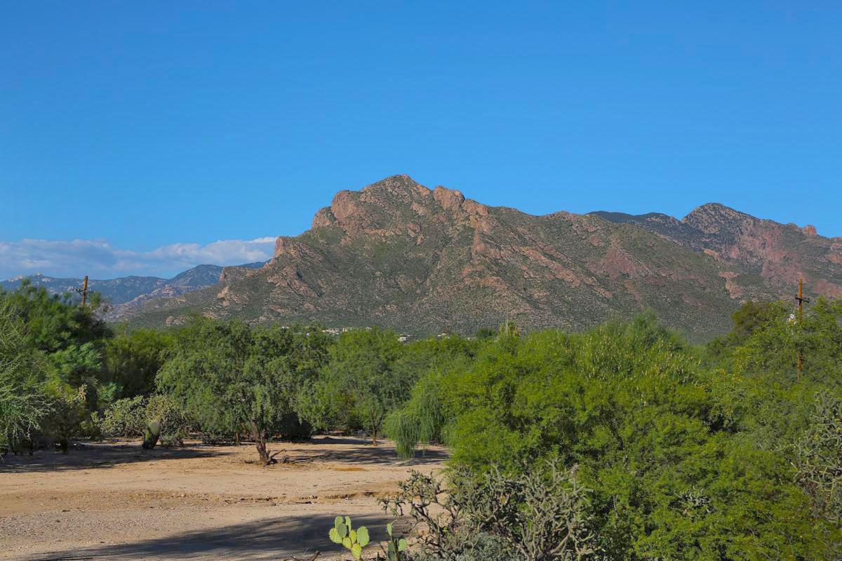 Tucson Mountains 1.jpg